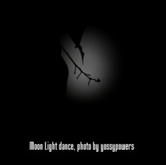 Moon light dance