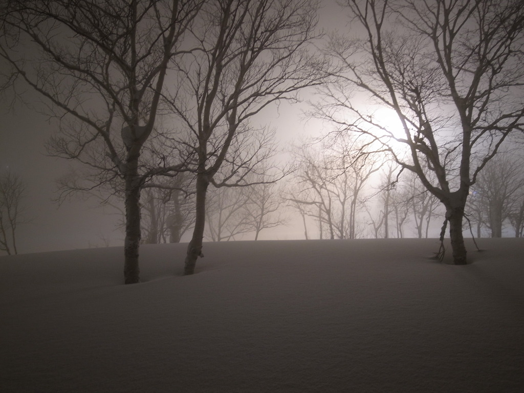 Silent tree