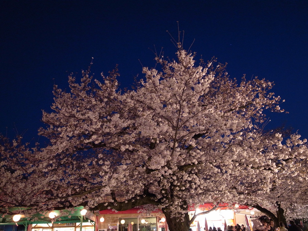 OJI ZOO