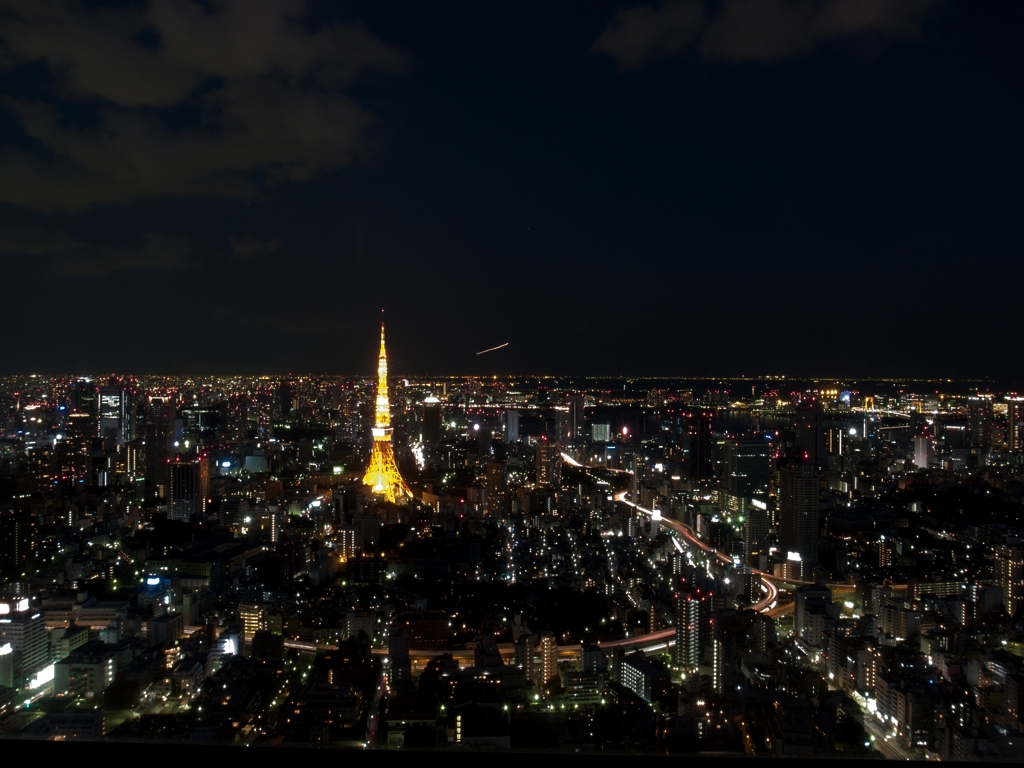 2010 Tokyo Night