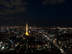 2010 Tokyo Night