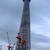 Sky Tree half level?