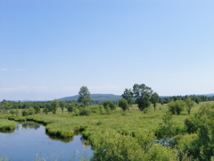 大雁河