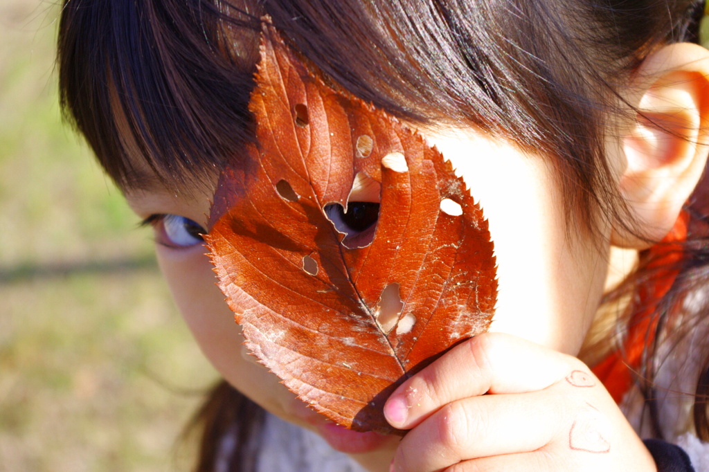 落ち葉のハートの隙間から、鋭い眼光。