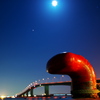 BLUE MOON