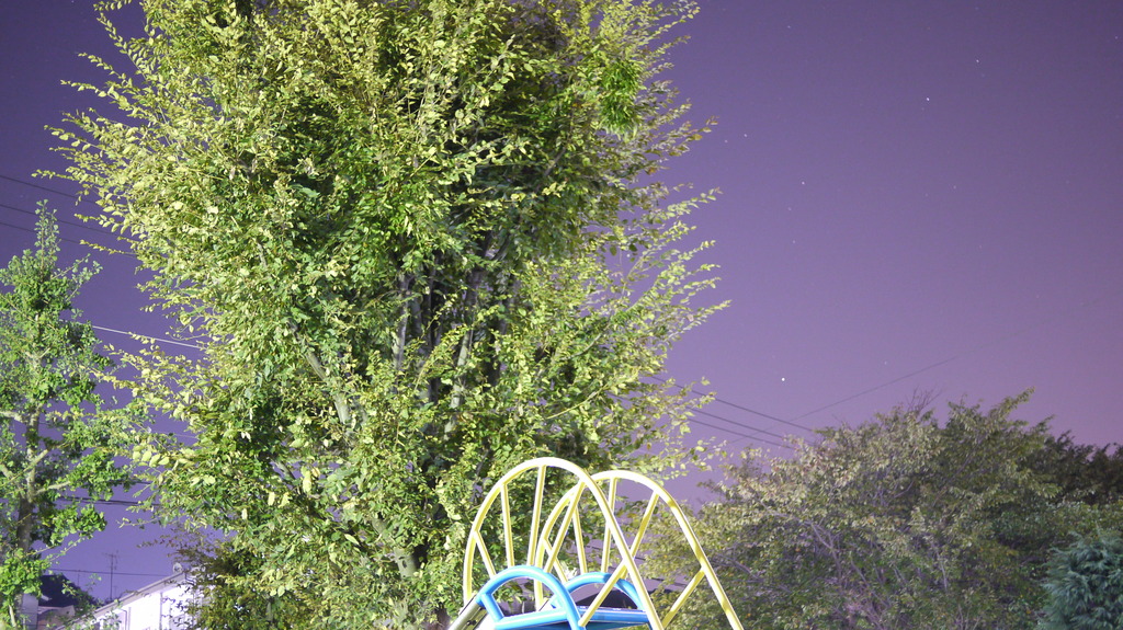 深夜木