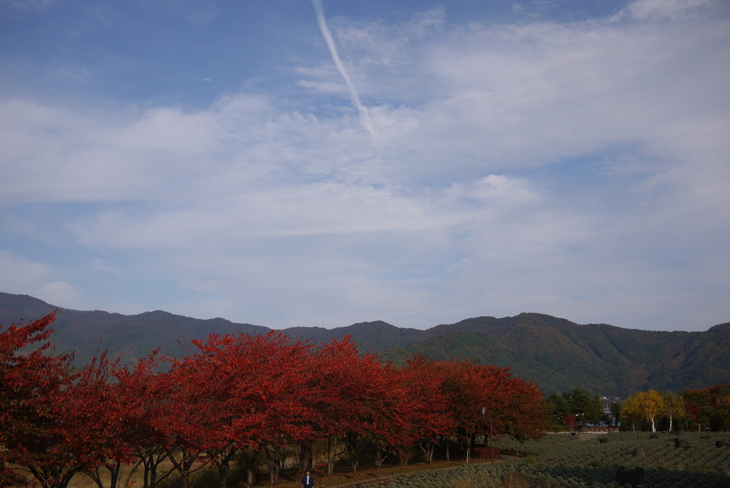 紅葉を見に行ってみた③