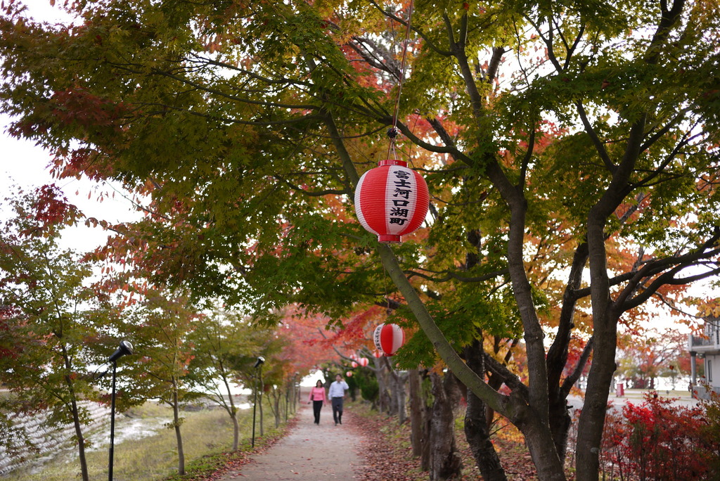 紅葉祭り