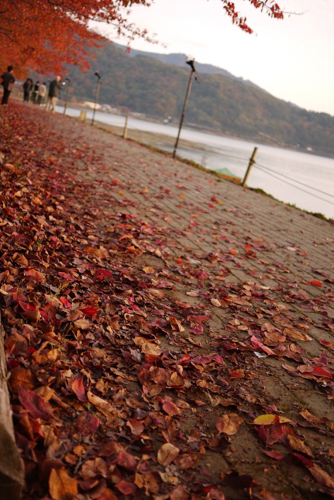 紅葉祭り