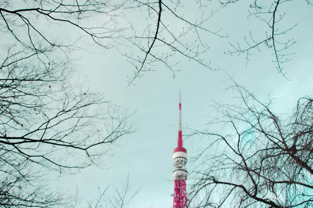 冬の一景
