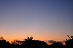 夕暮れ