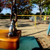 秋の公園