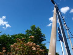 田舎の青空