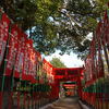 真清田神社