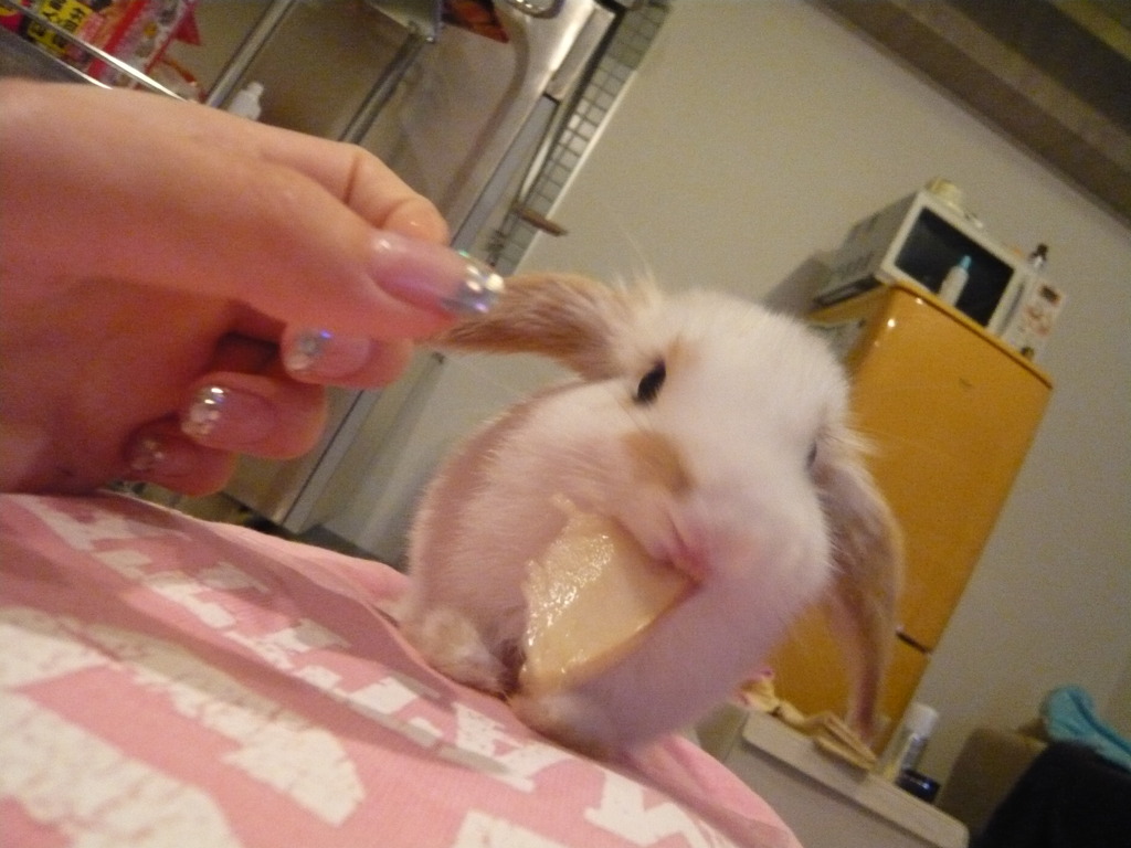 しゃっくしゃくやろ