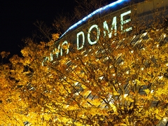 TOKYO DOME