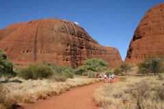 A road to Kata Tjuta