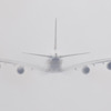 小雪舞うフライト