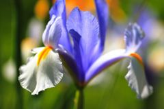 IMG_0939_R
