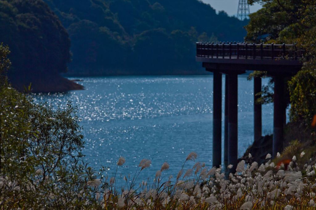 IMGP1680_R