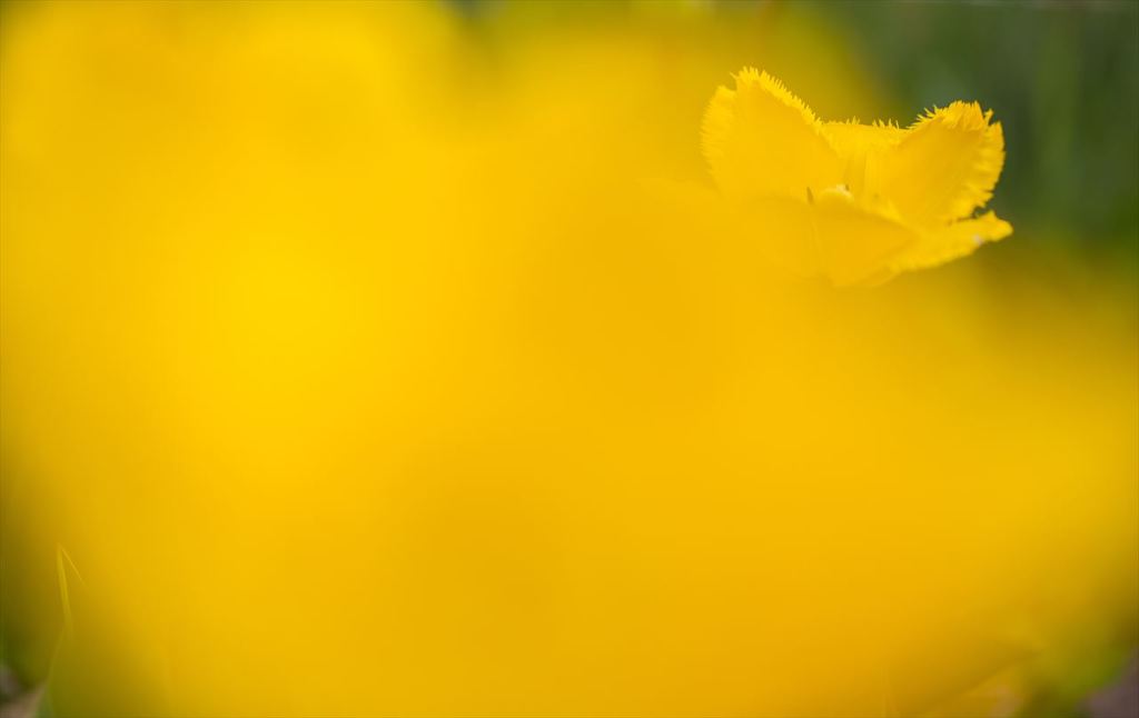 IMG_4033_R