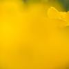 IMG_4033_R