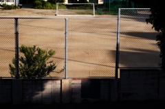 IMG_0553g