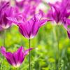 IMG_4091_R