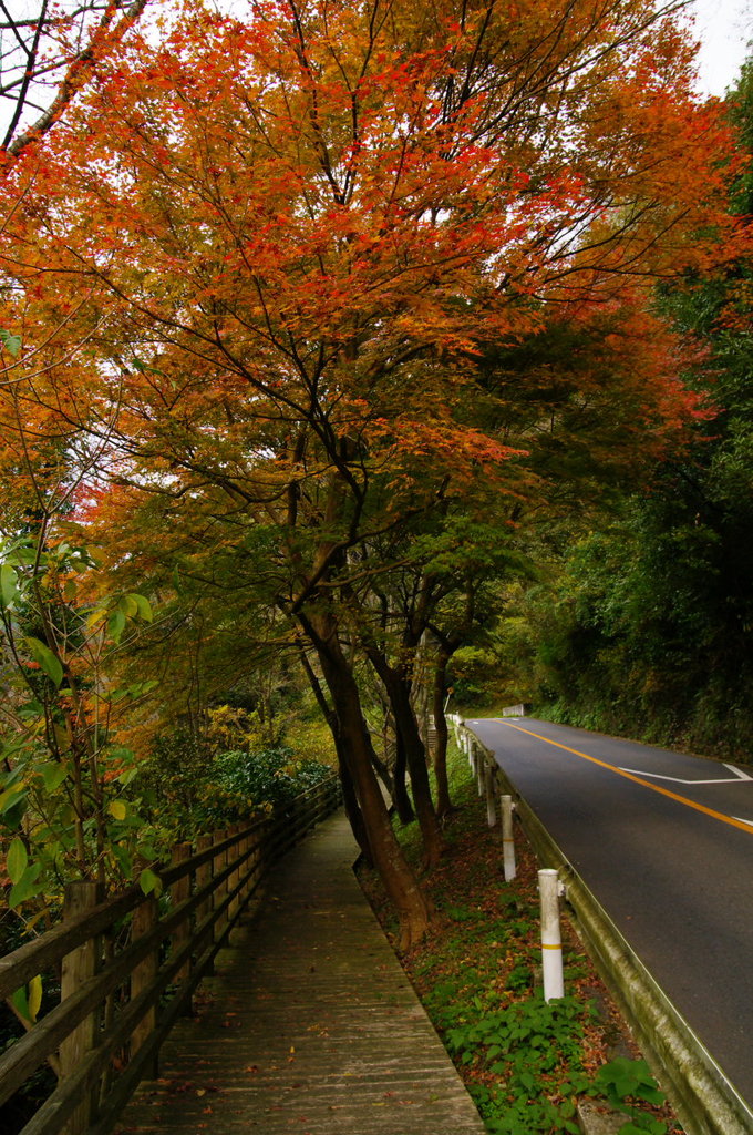 遊歩道