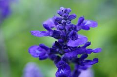 IMG_2275_R