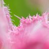 IMG_4057_R
