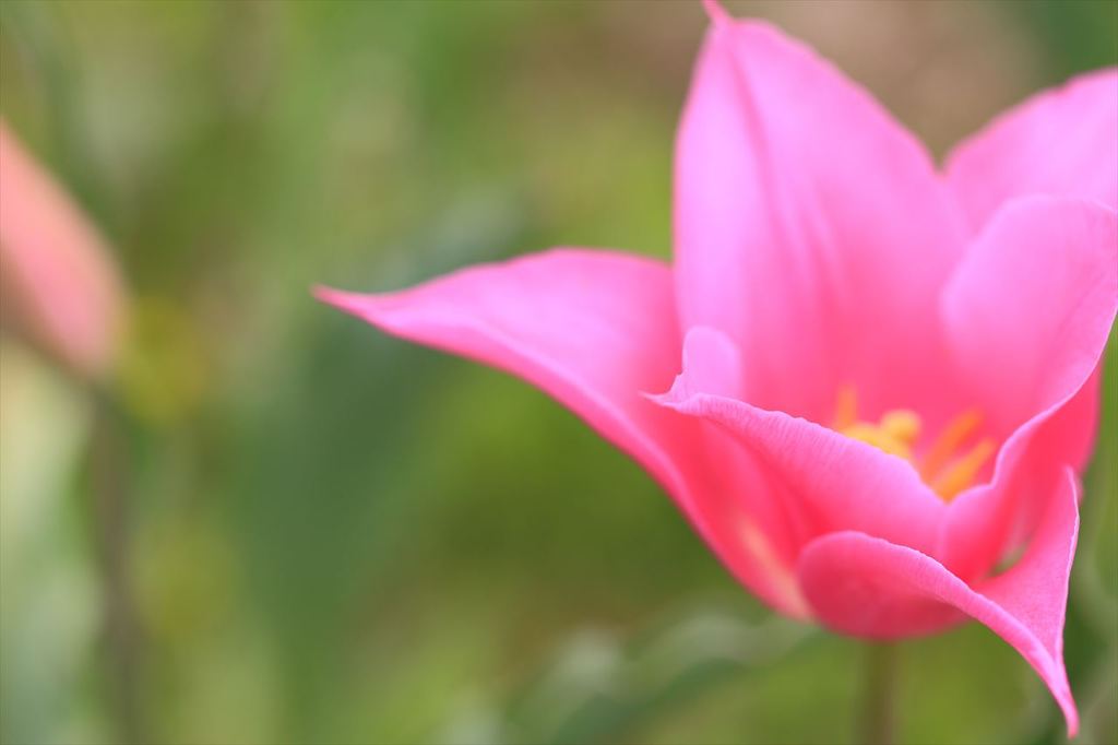 IMG_4025_R