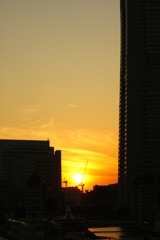 横浜の夕日