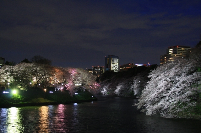 お花見