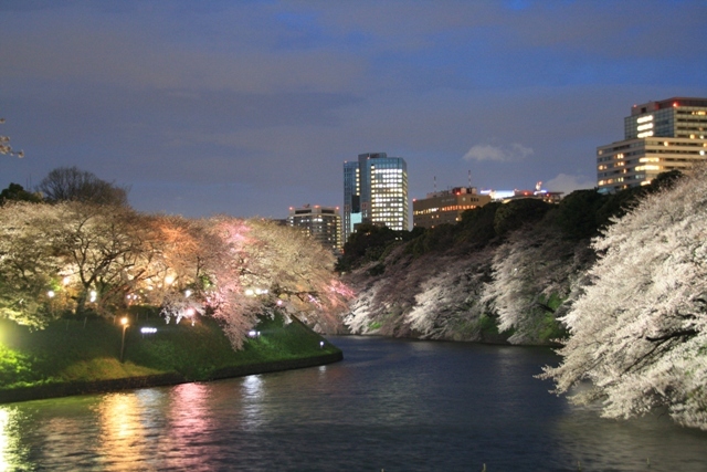 お花見