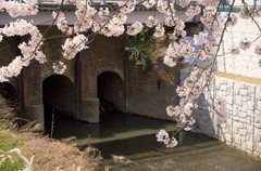 桜とレンガ橋
