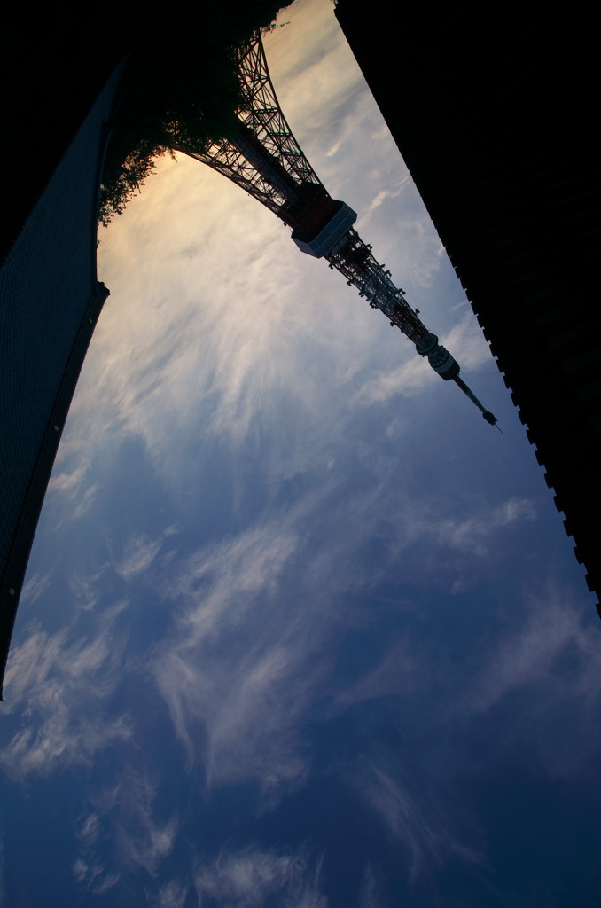 空を撮りたくて・・。