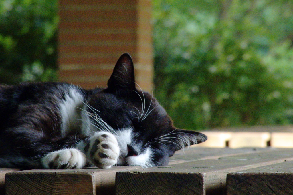 ZZz・・・