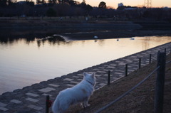 待ち続けます　いつまでも・・・