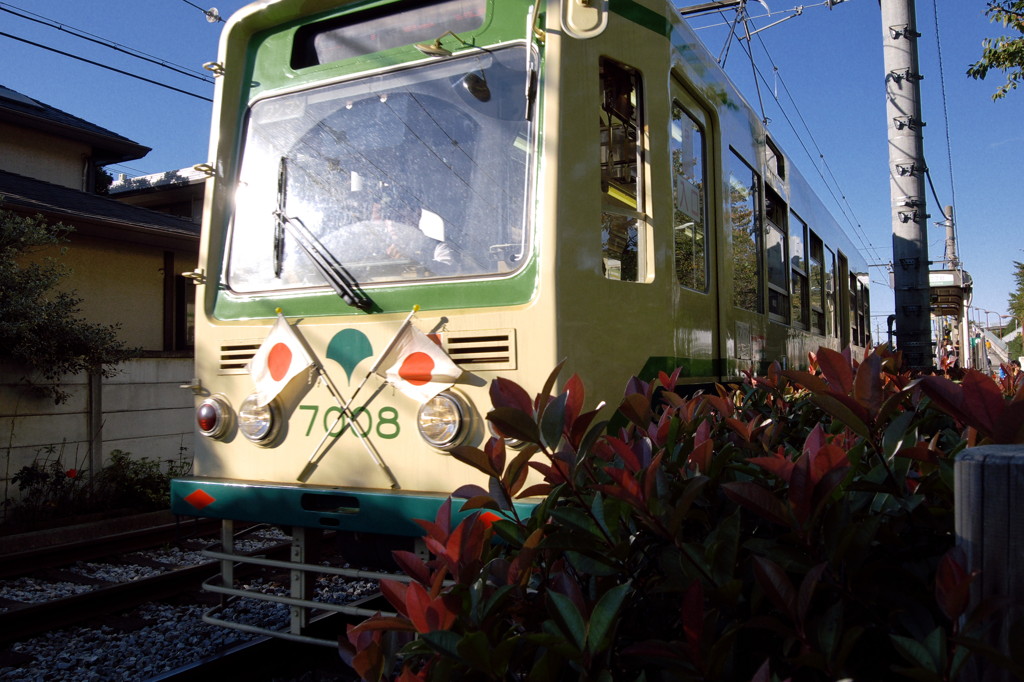 都電荒川線 《祝日仕様》