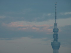 Blue SkyTree