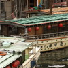 江戸情緒(2)