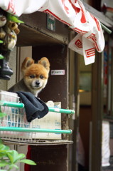 看板キャラクター