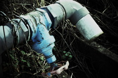 Valve