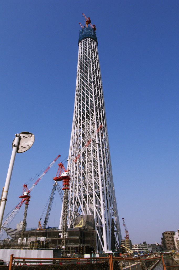 スカイツリー