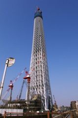 スカイツリー