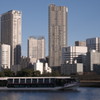 The Big Buildings