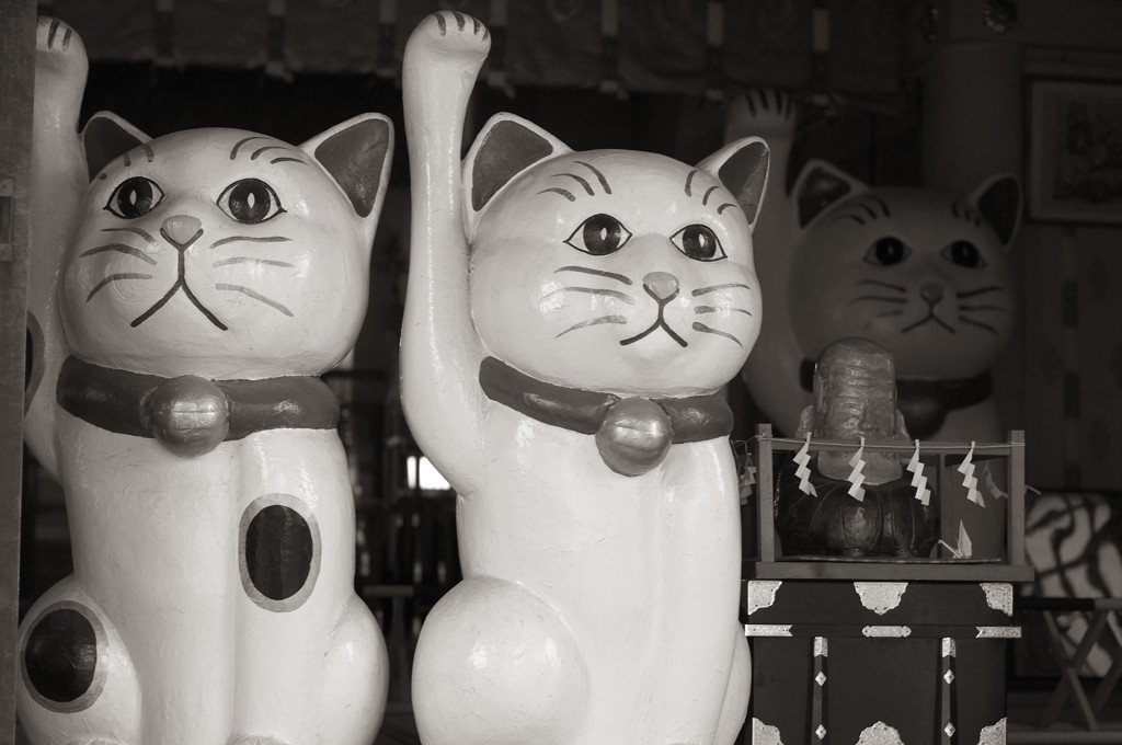 招き猫どーん