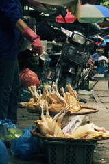 VIETNAM SNAP #4