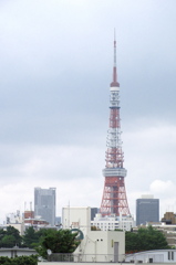 東京タワー